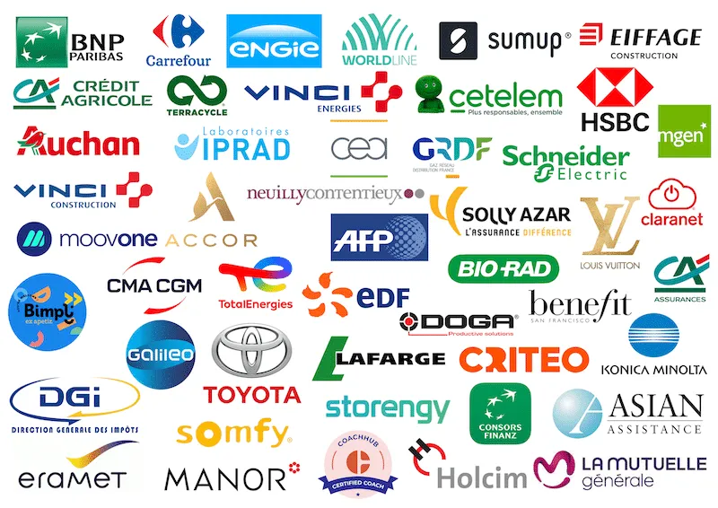 Logos d’entreprises accompagnées par Olivier Masselot, dont BNP Paribas, Carrefour, Engie, Worldline, Crédit Agricole, Vinci, HSBC, Schneider Electric, Accor, TotalEnergies, EDF, Toyota, Louis Vuitton et Holcim.