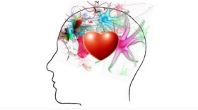 L’Intelligence Neurosensorielle au secours de l’Intelligence émotionnelle (part 2)